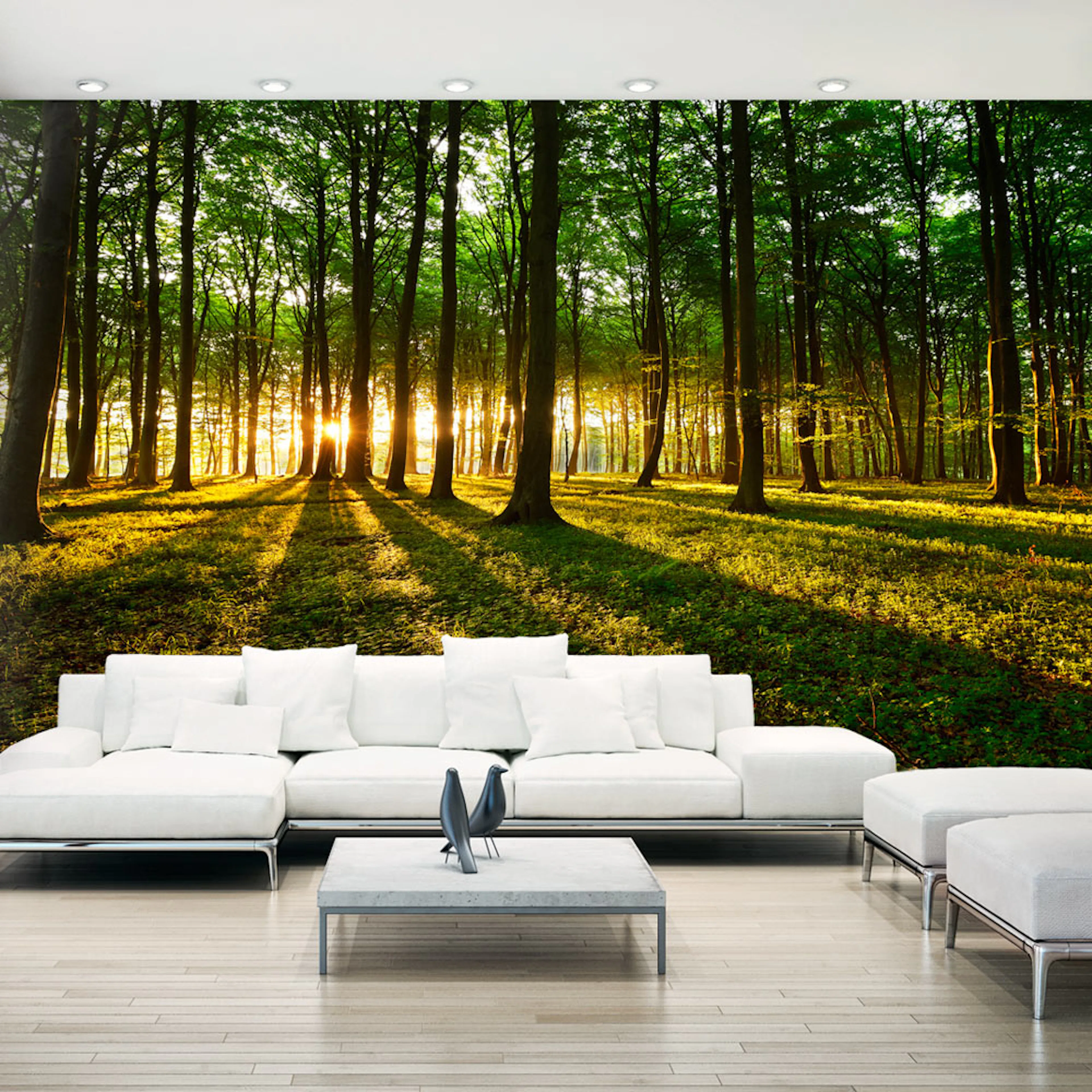 Fototapet Arkiio Självhäftande Mystical Morning II 490x280