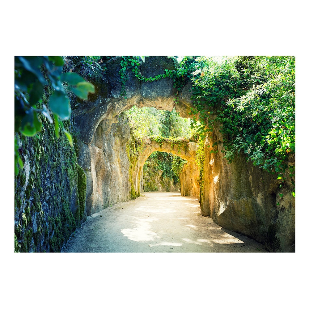 Fototapet Arkiio Självhäftande Via Naturae