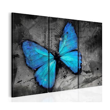 Tavla Arkiio The Study Of Butterfly Triptych