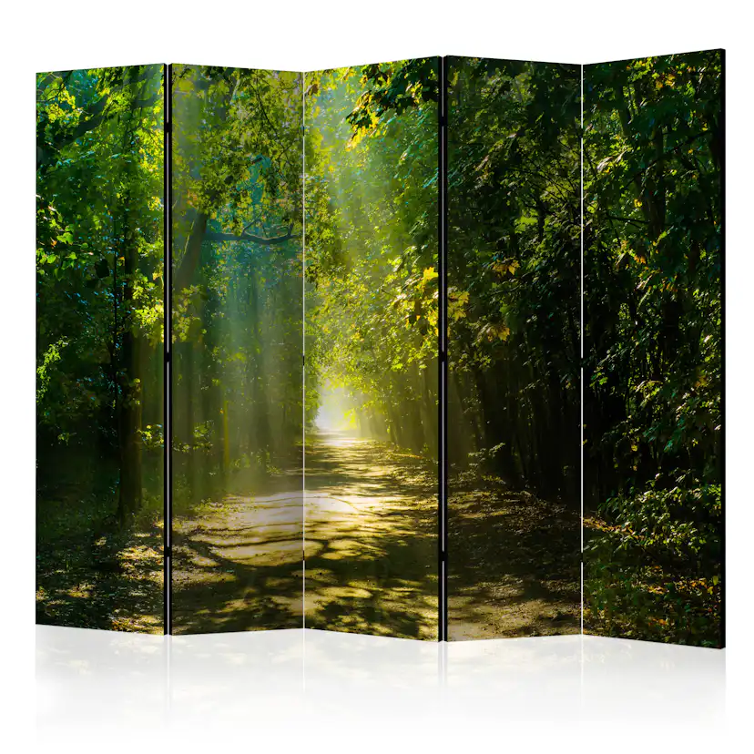 Rumsavdelare Skärmvägg Arkiio Road in Sunlight II 225x172 cm