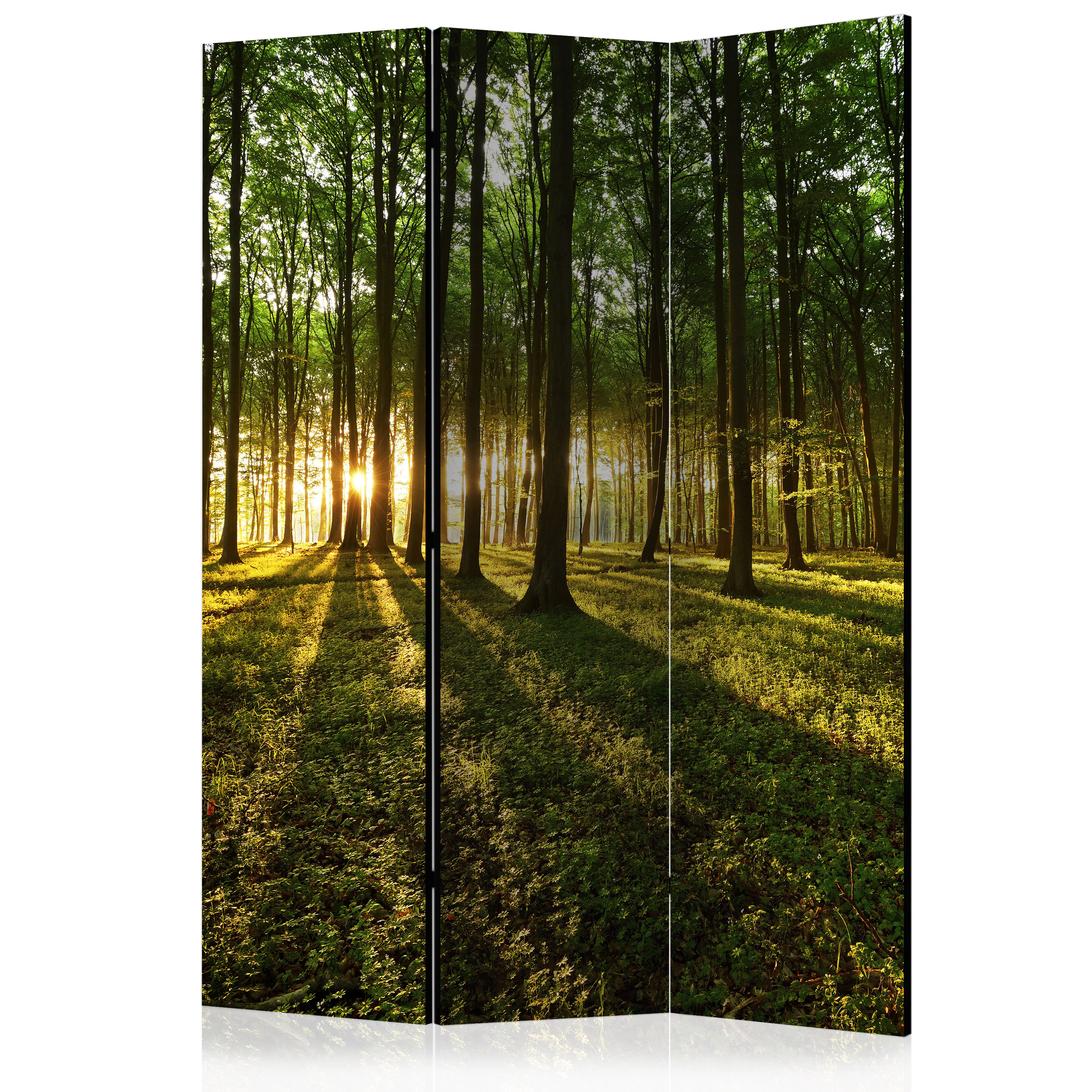 Rumsavdelare Skärmvägg Arkiio Morning In The Forest 135x172 cm