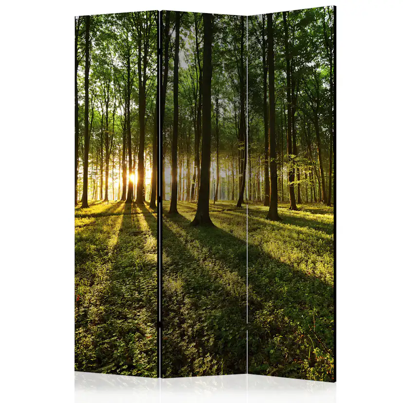 Rumsavdelare Skärmvägg Arkiio Morning In The Forest 135x172 cm