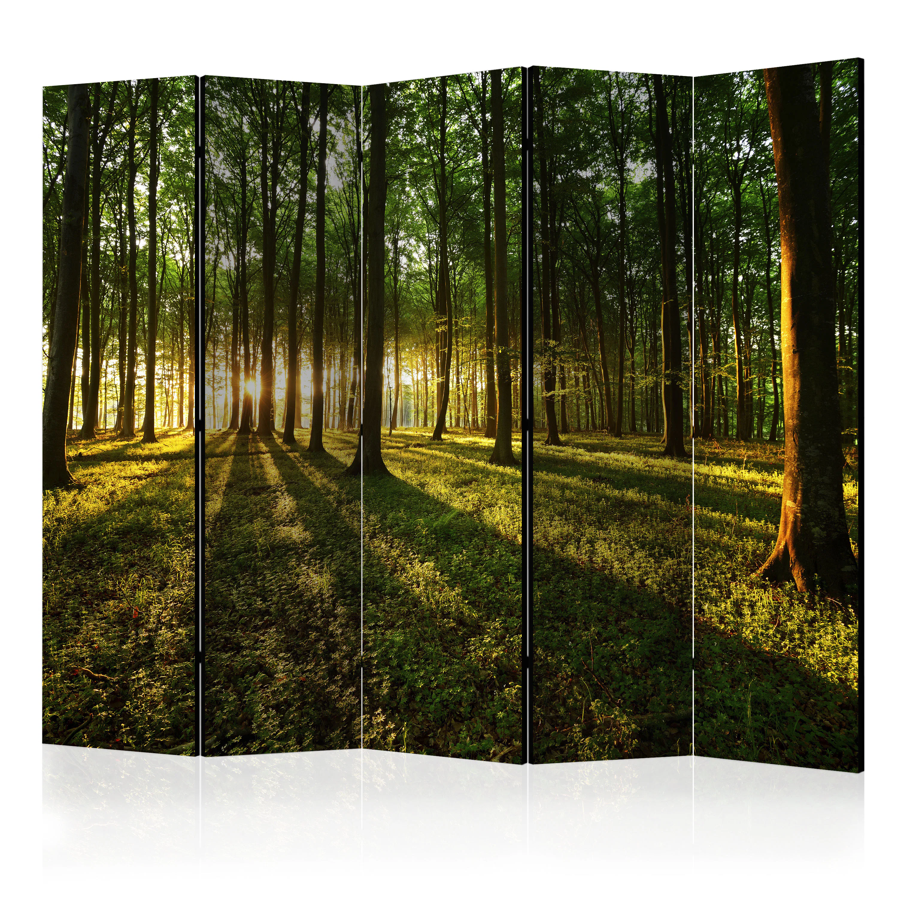 Rumsavdelare Skärmvägg Arkiio Morning in the Forest II 225x172 cm