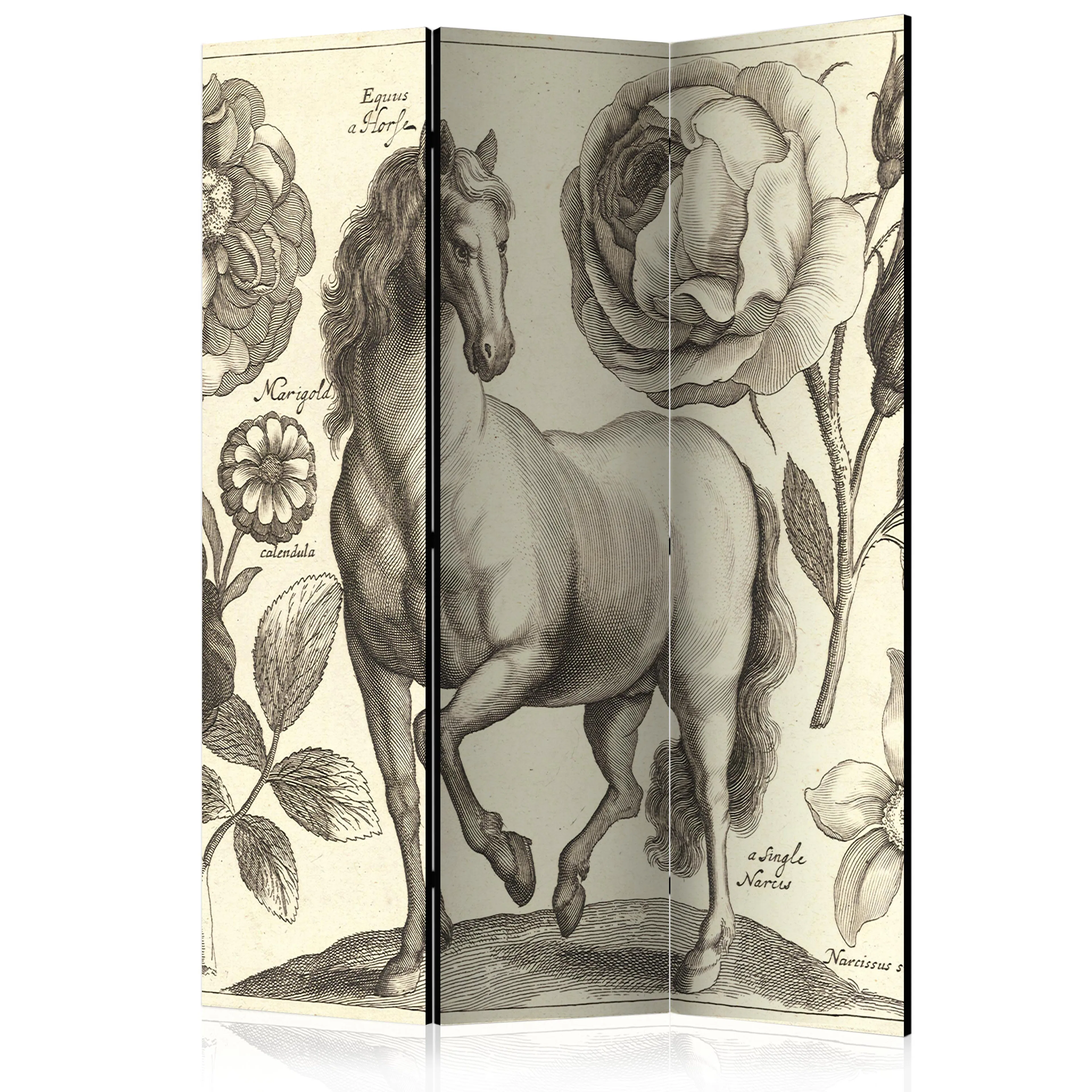Rumsavdelare Skärmvägg Arkiio Horse 135x172 cm