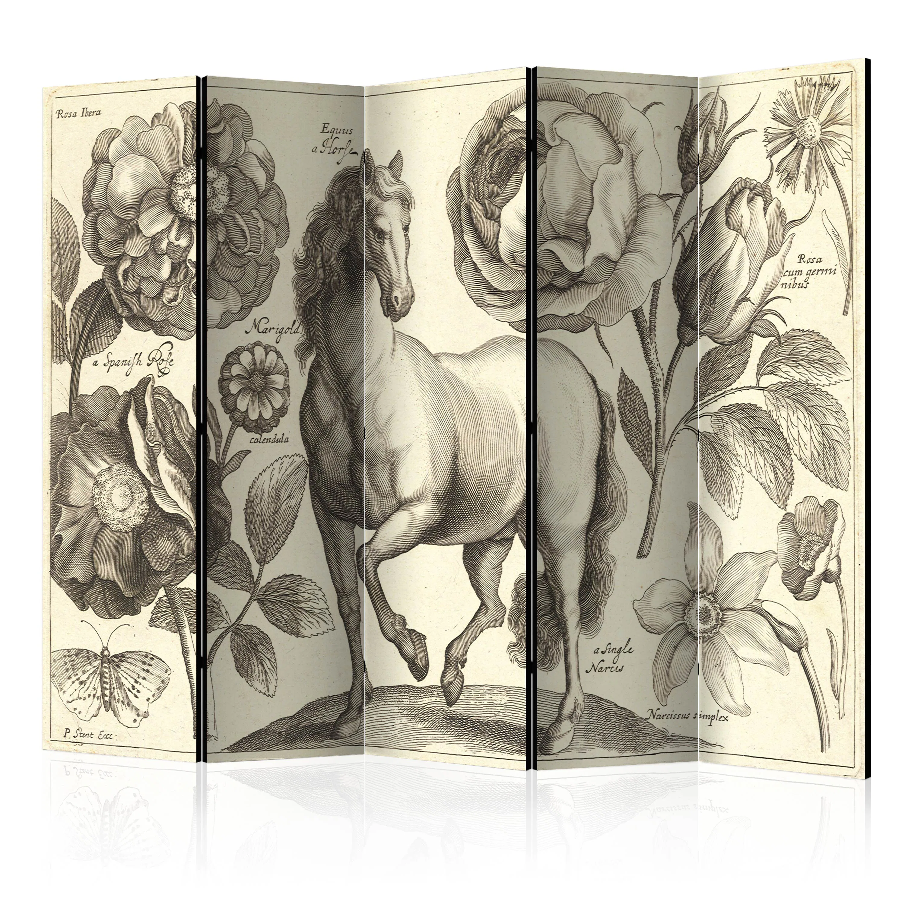 Rumsavdelare Skärmvägg Arkiio Horse II 225x172 cm