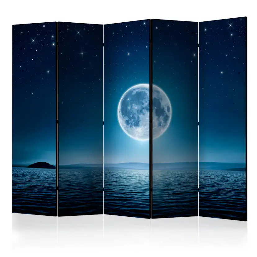 Rumsavdelare Skärmvägg Arkiio Moonlit Night II 225x172 cm