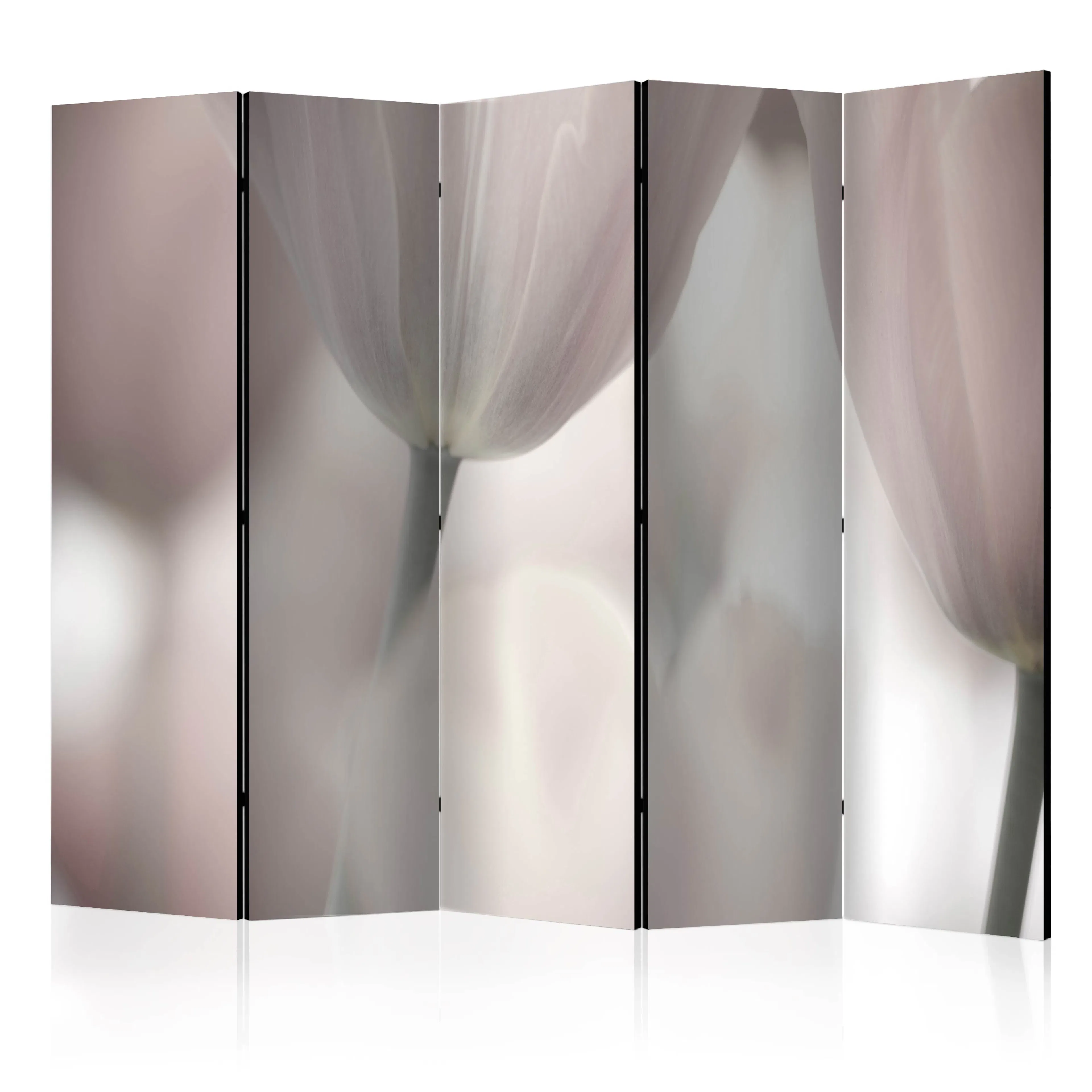 Rumsavdelare Skärmvägg Arkiio Tulips Fine Art Black and White II Grå 225x172 cm