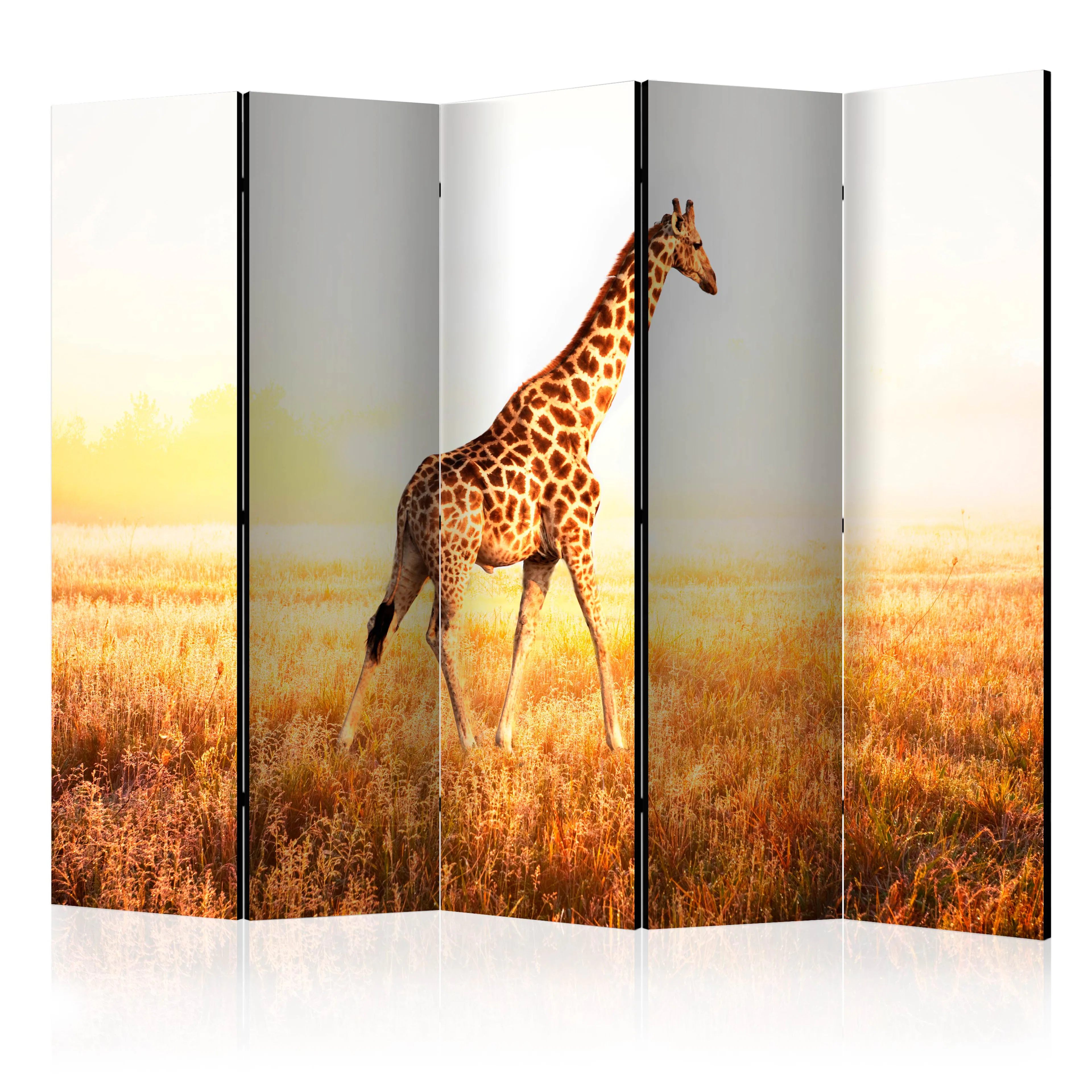 Rumsavdelare Skärmvägg Arkiio Giraffe Walk II 225x172 cm
