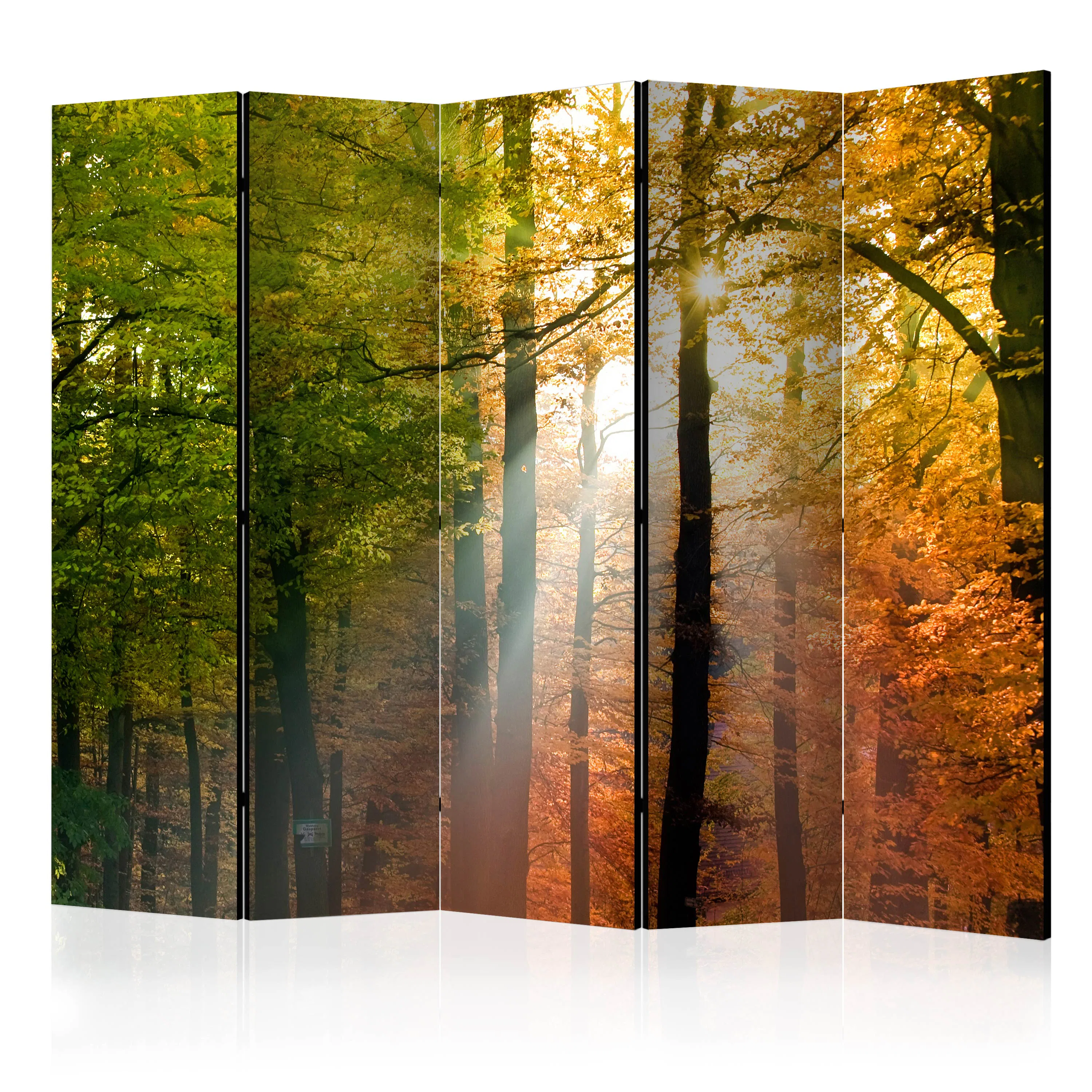 Rumsavdelare Skärmvägg Arkiio Forest Colours II 225x172 cm