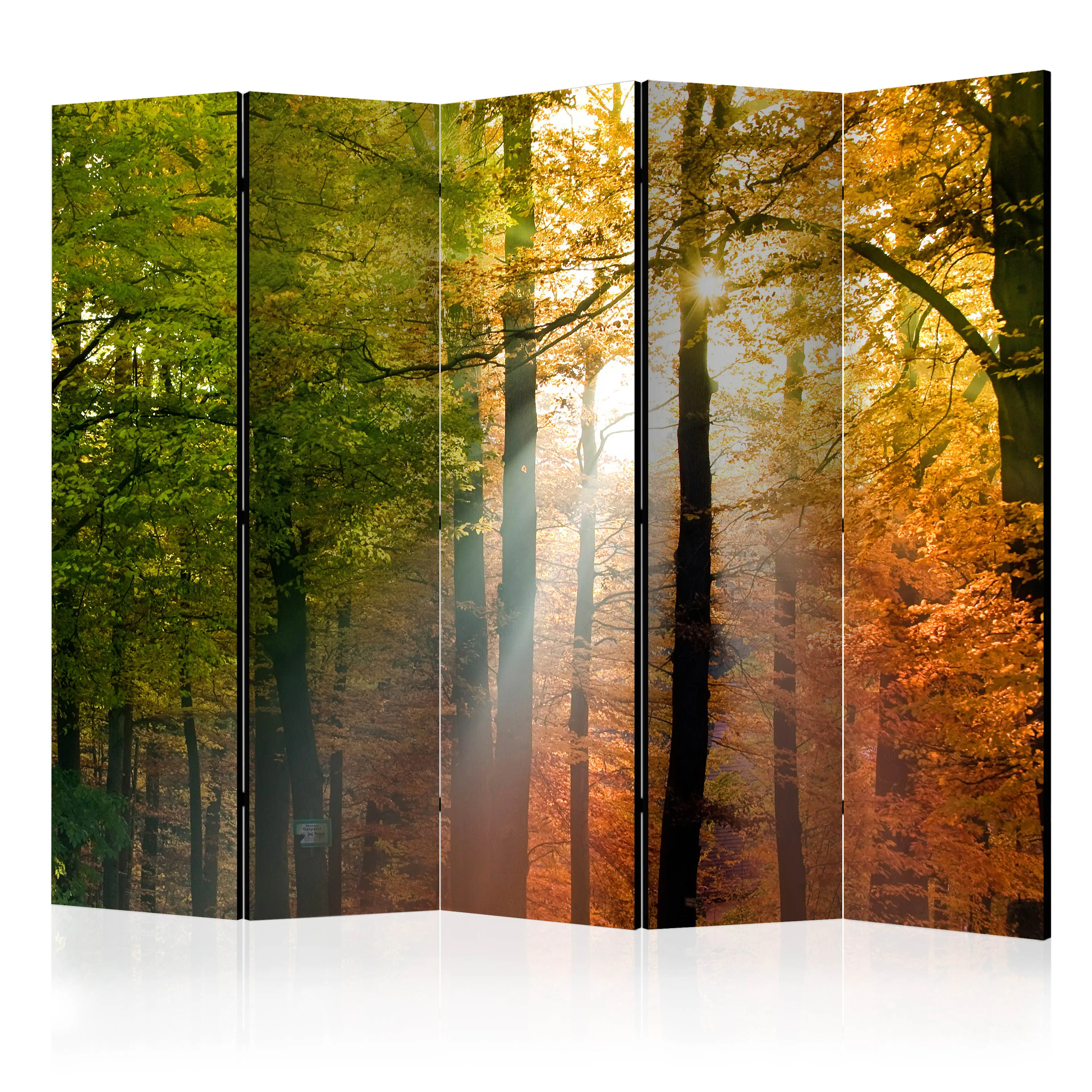 Rumsavdelare Skärmvägg Arkiio Forest Colours II 225x172 cm