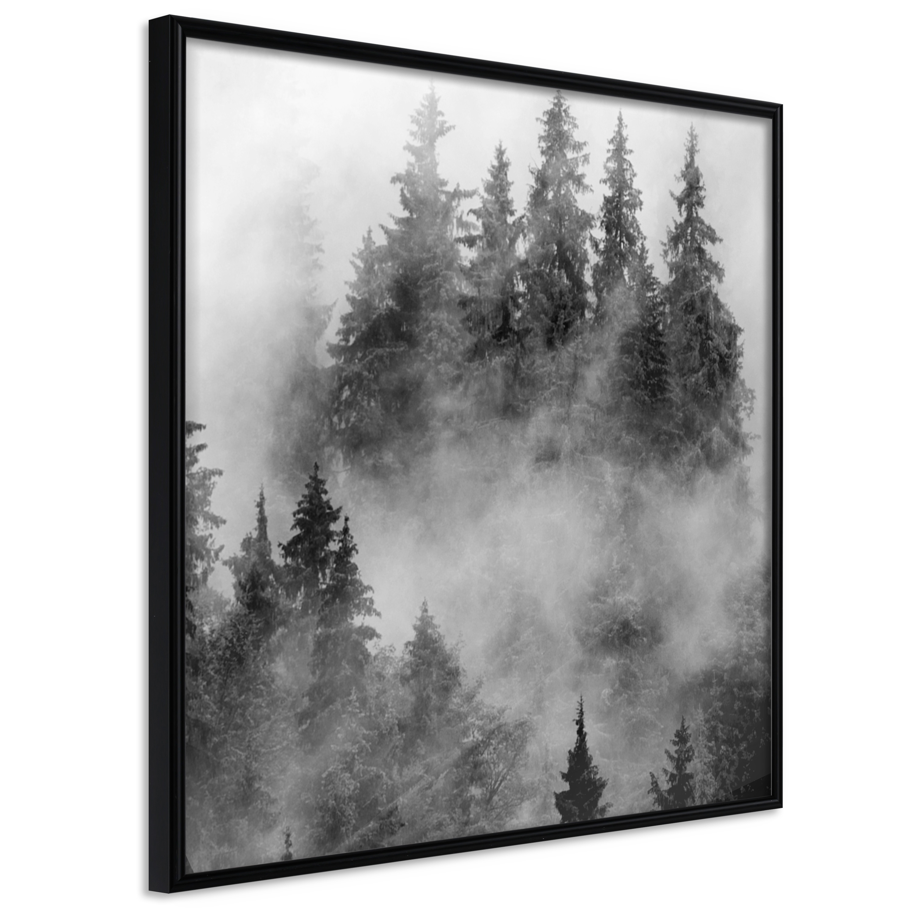 Poster Artgeist Affisch Black Forest