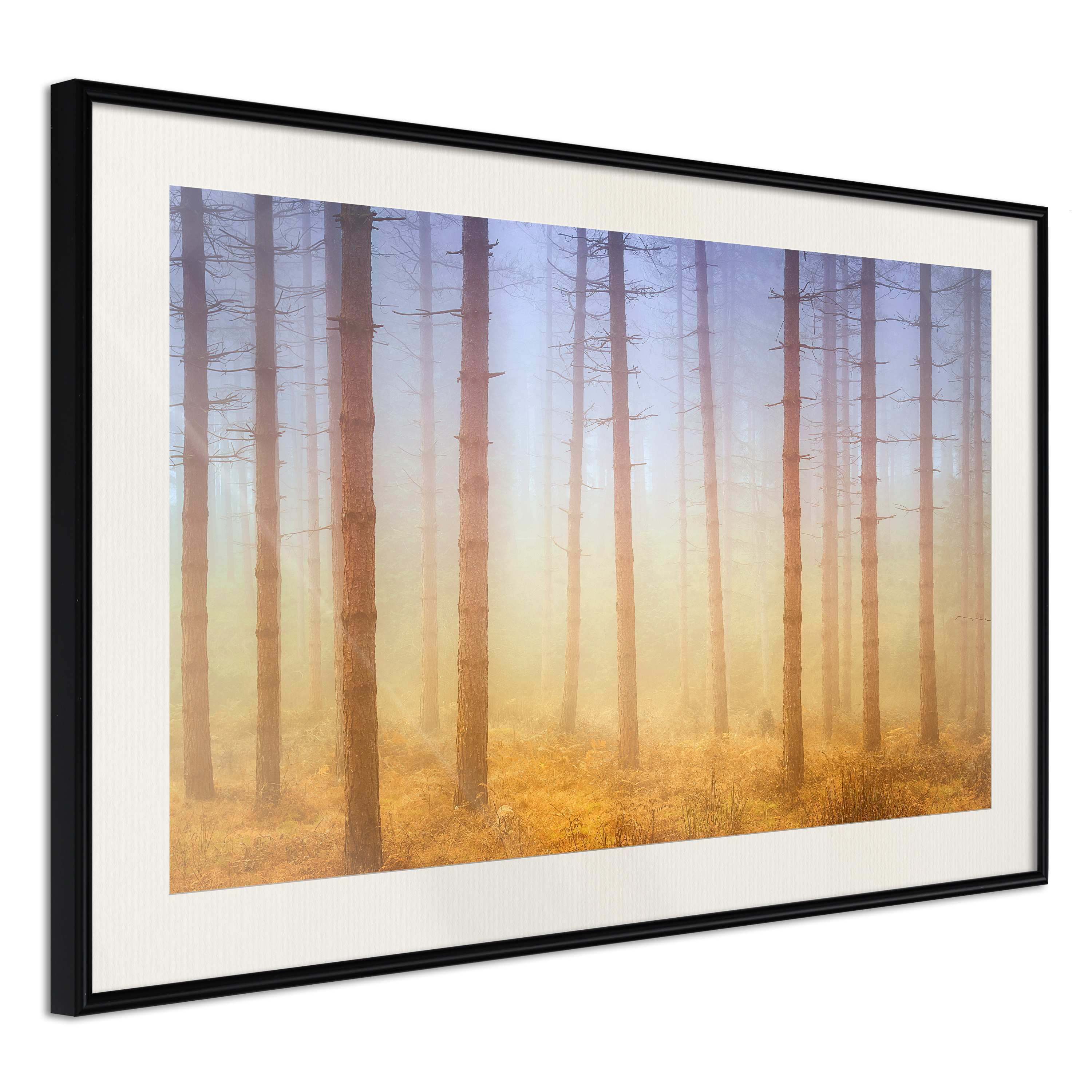 Poster Artgeist Affisch Foggy Forest