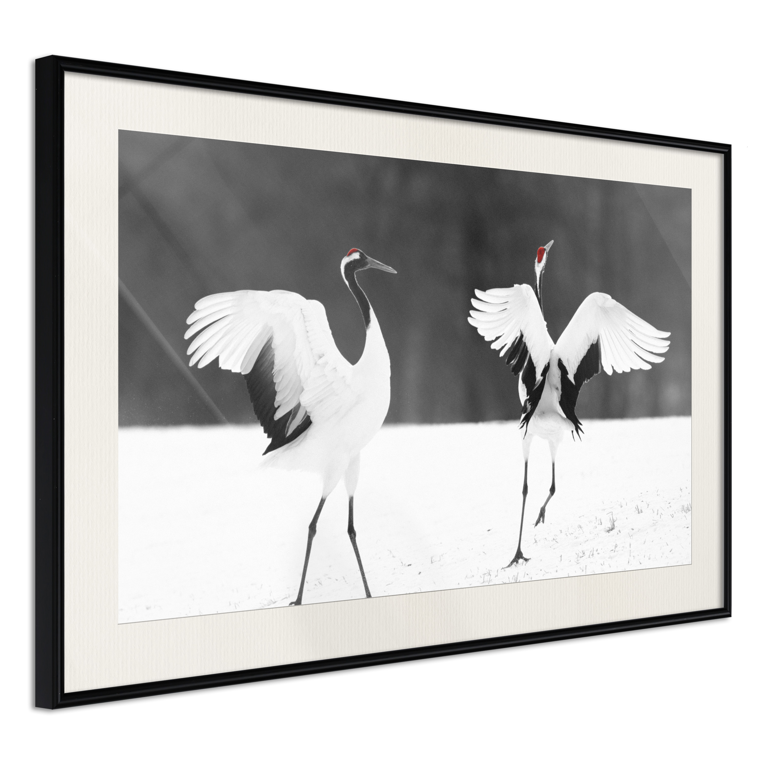 Poster Artgeist Affisch Dancing Cranes