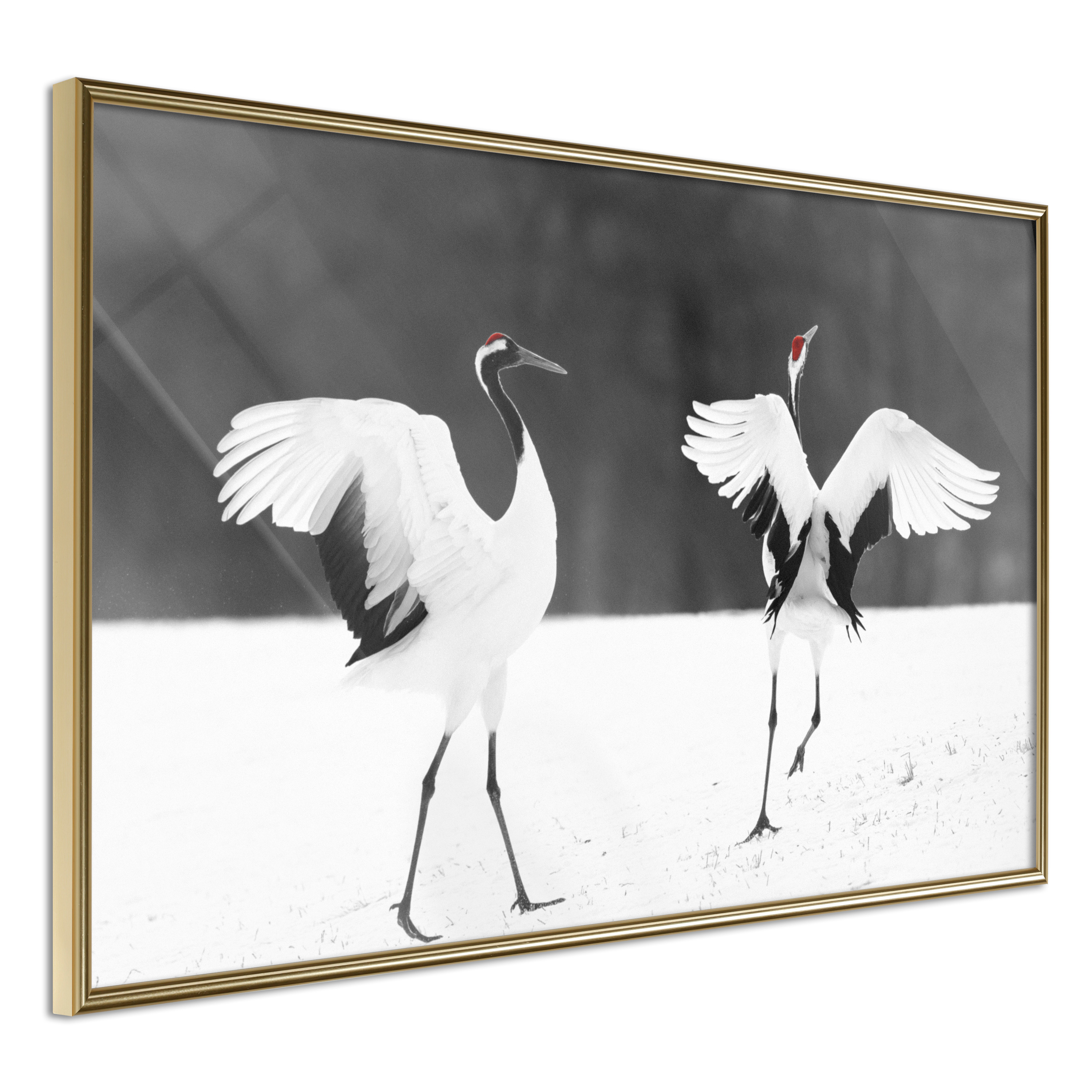 Poster Artgeist Affisch Dancing Cranes
