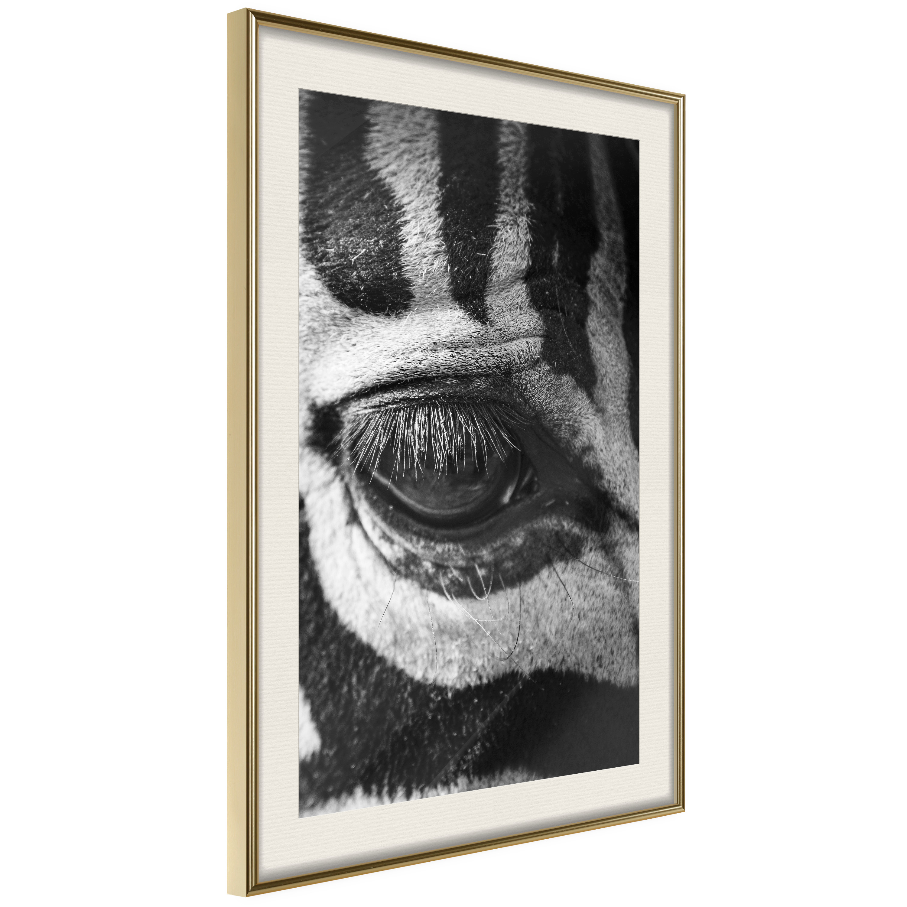Poster Artgeist Affisch Zebra Eye