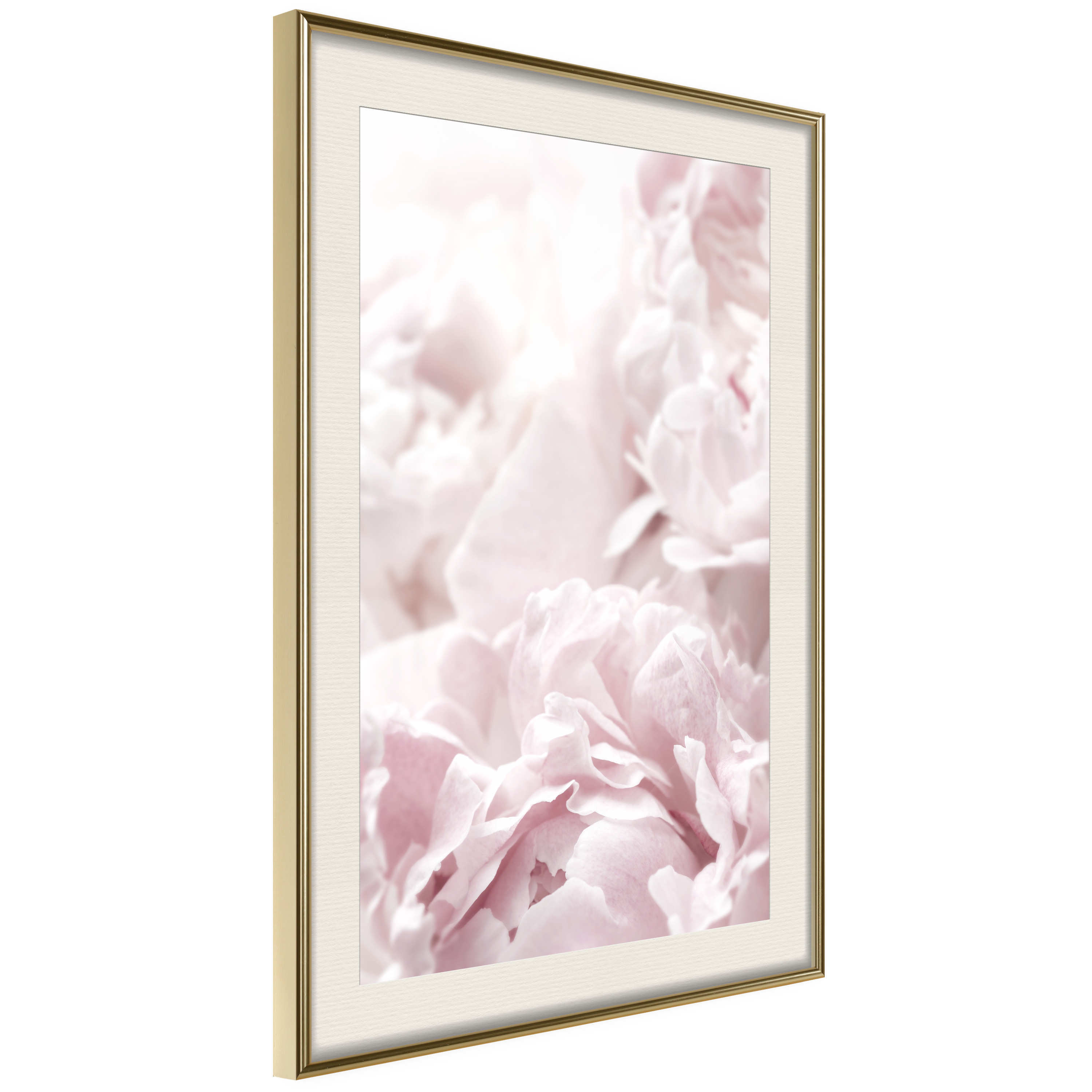 Poster Artgeist Affisch Fluffy Peonies
