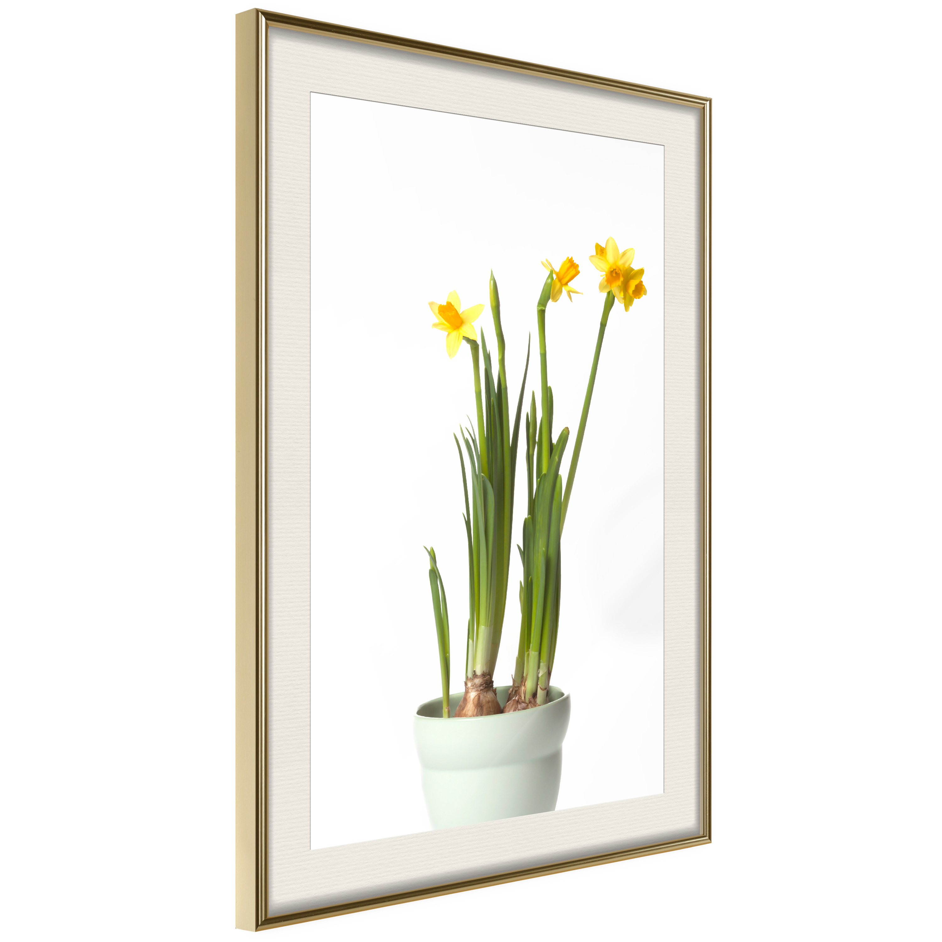 Poster Artgeist Affisch Narcissus