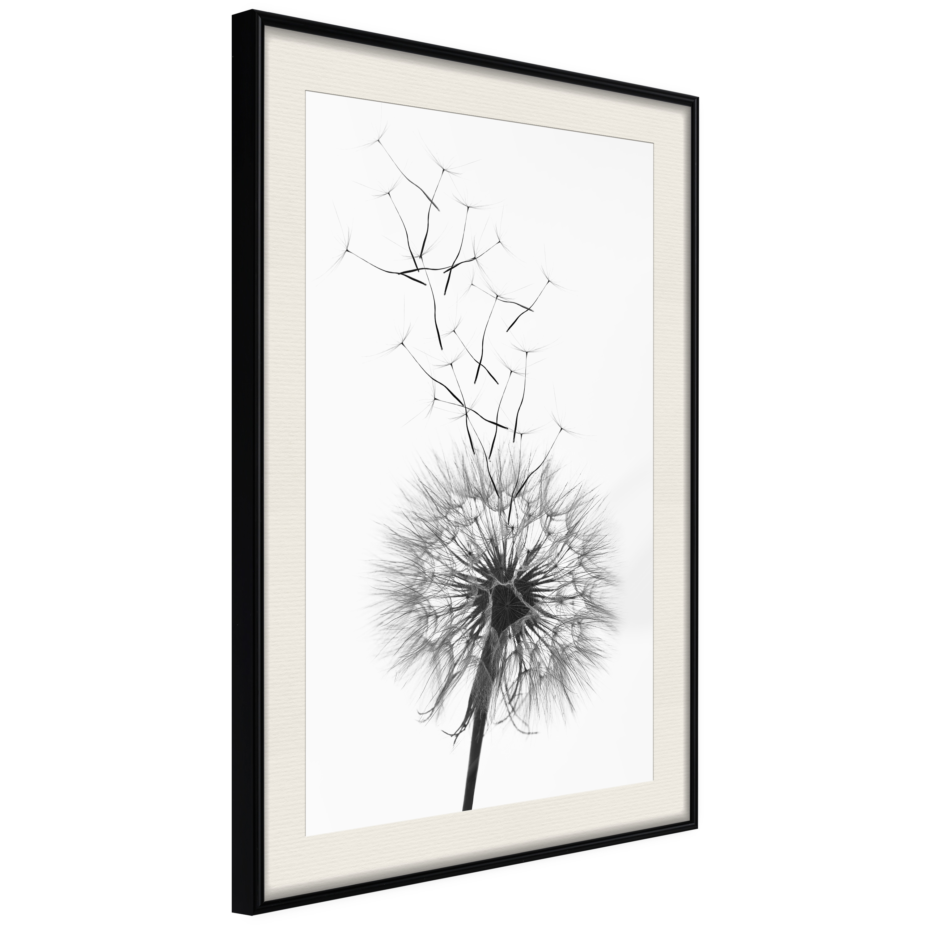 Poster Artgeist Affisch Dandelion