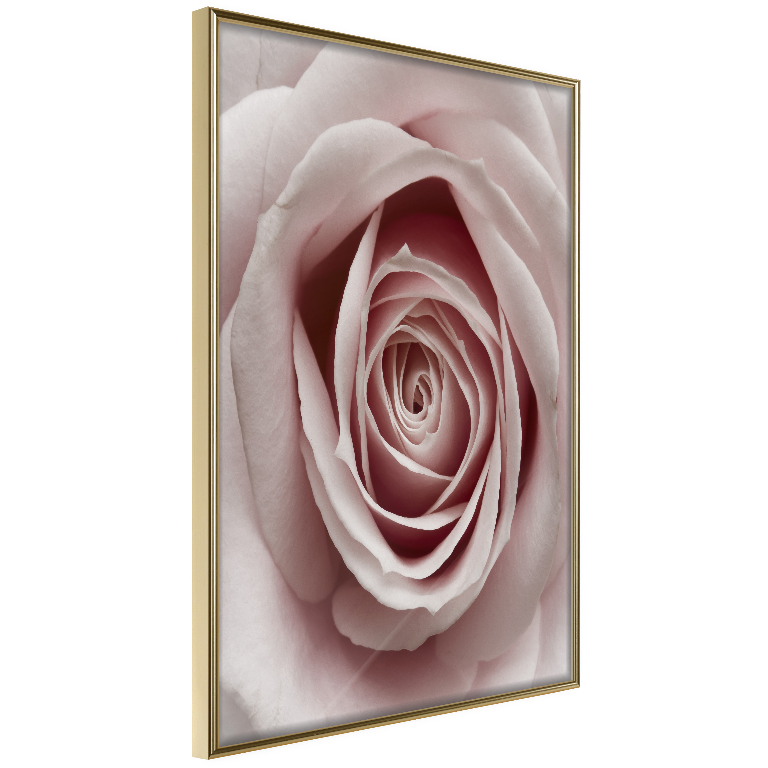 Poster Artgeist Affisch Pastel Rose