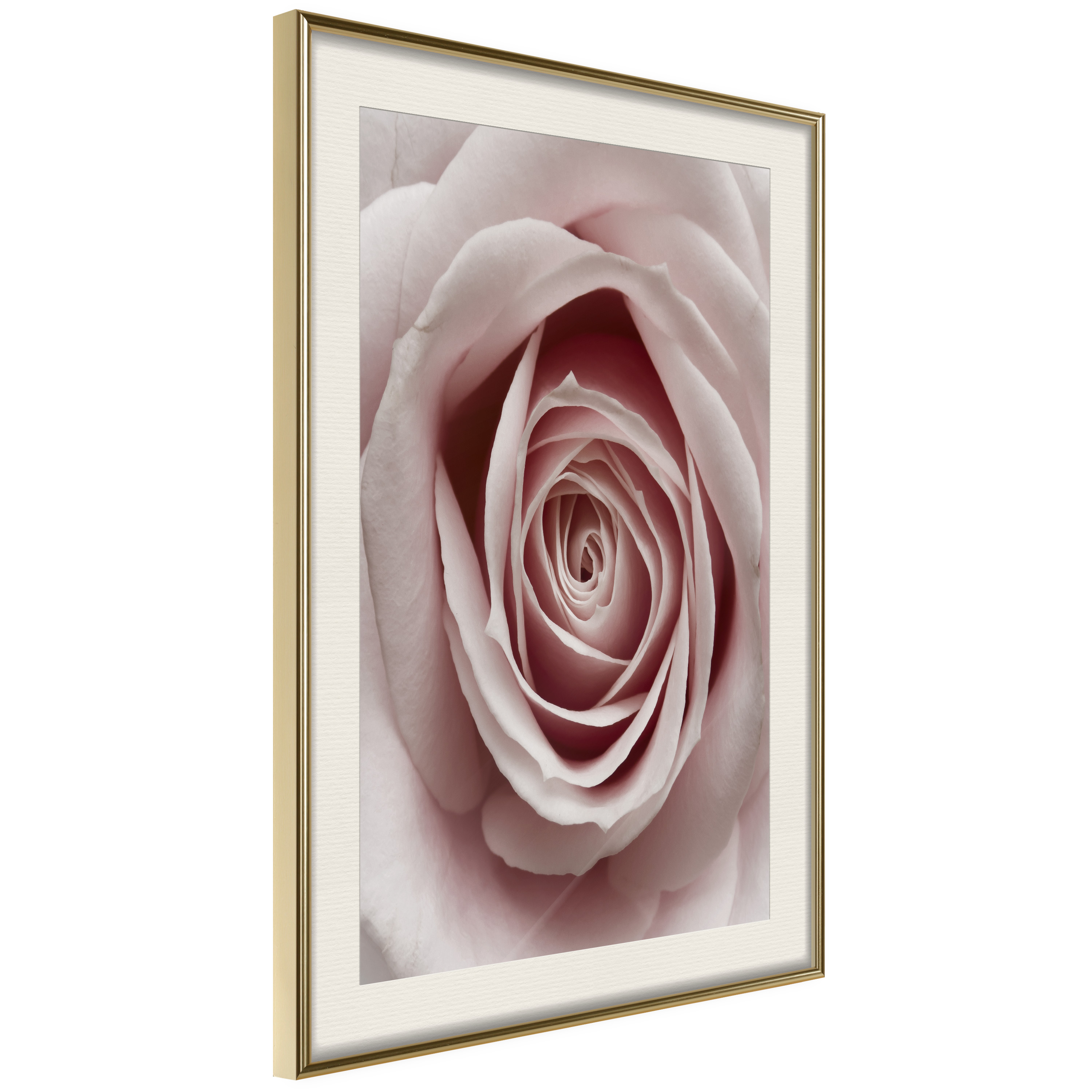 Poster Artgeist Affisch Pastel Rose