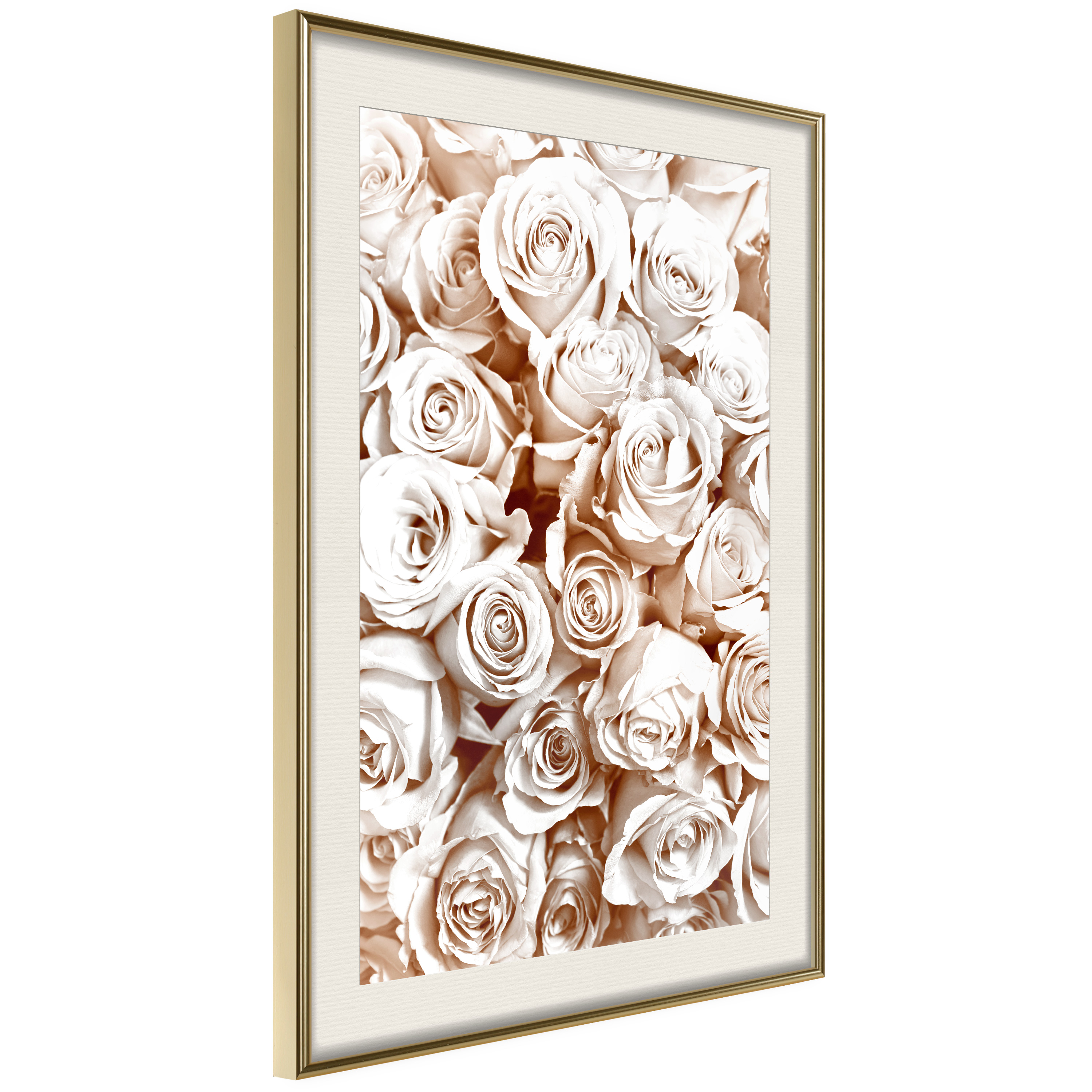 Poster Artgeist Affisch Rose Garden