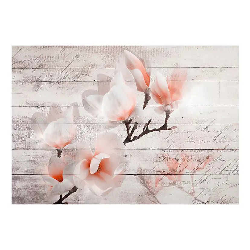 Fototapet Arkiio Subtlety Of The Magnolia