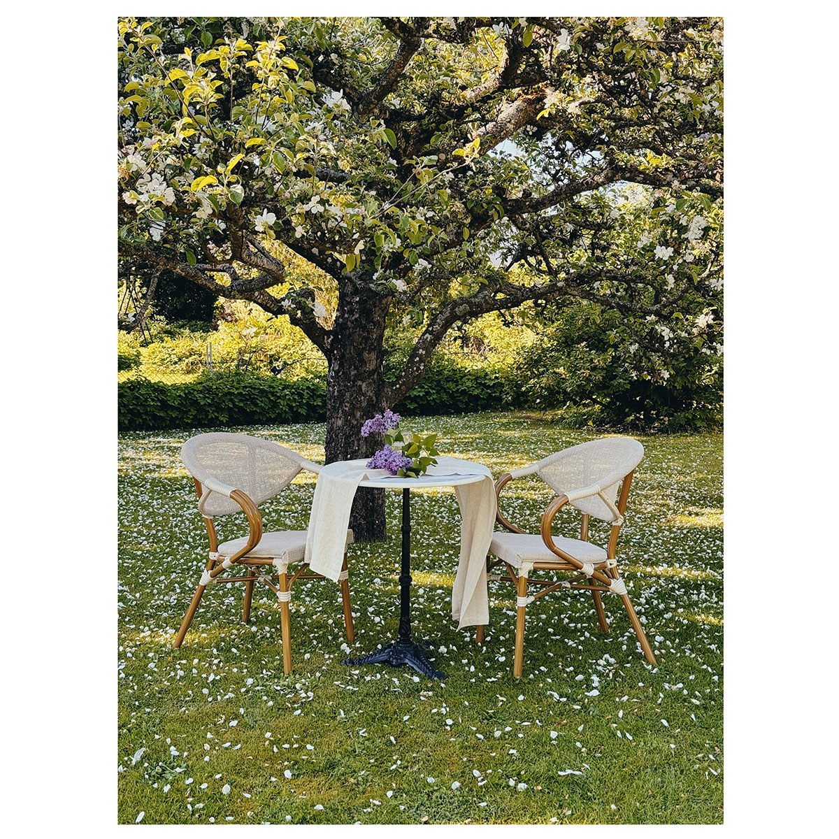 Caféstol Hillerstorp Äppelhed