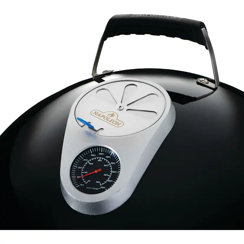Kolgrill Napoleon Apollo 18