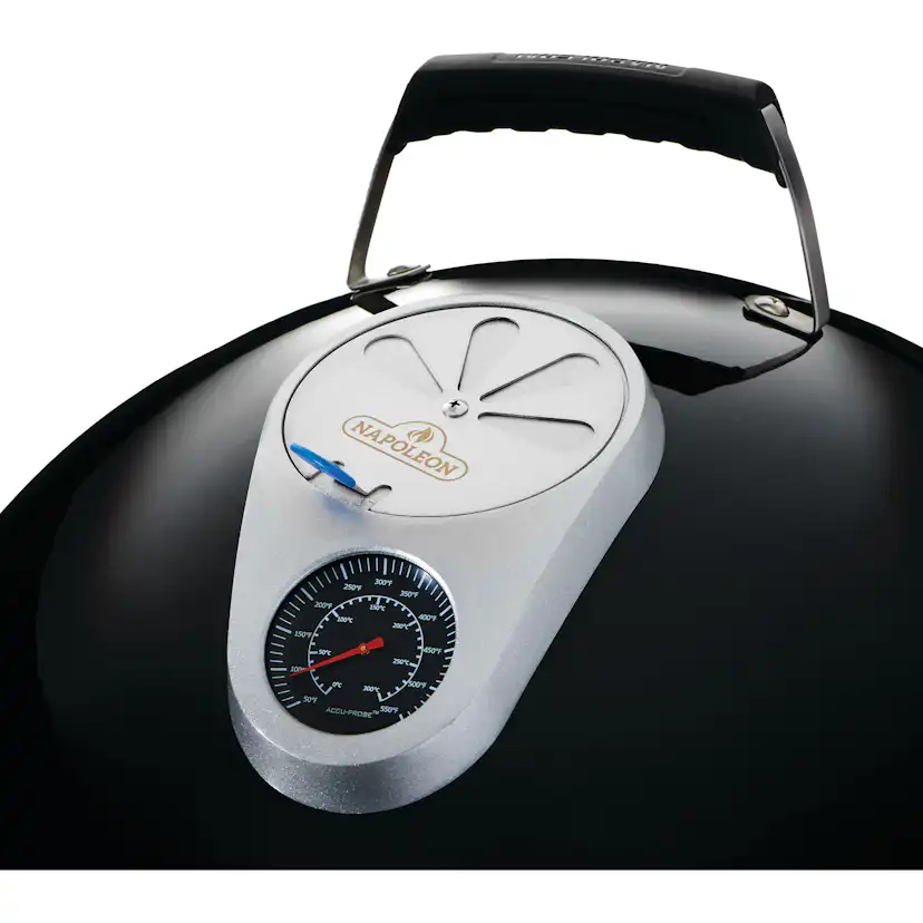 Kolgrill Napoleon Apollo 22