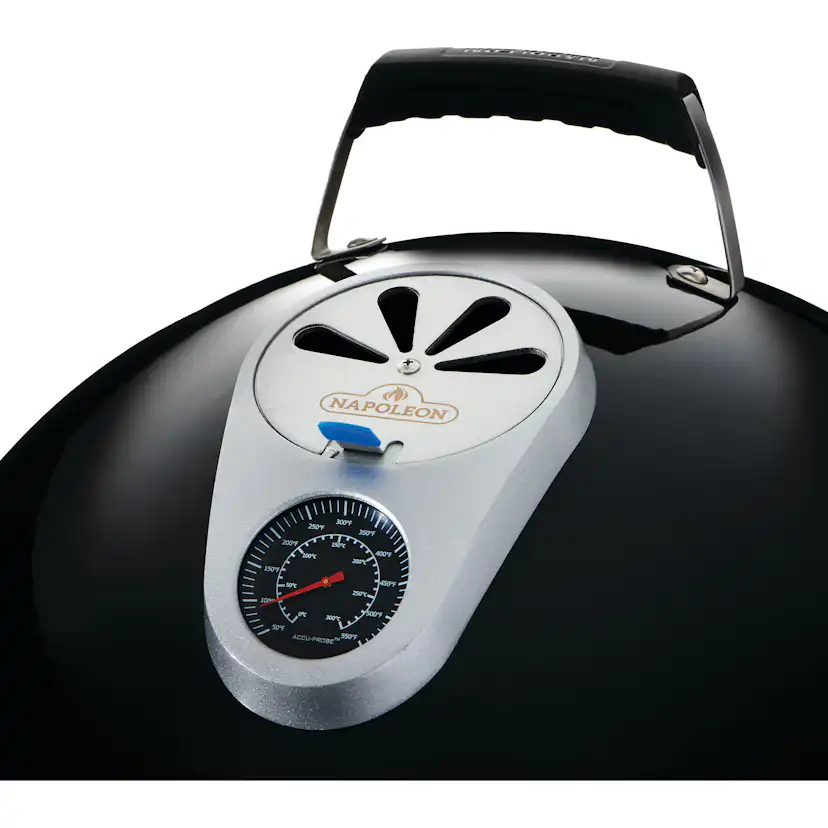 Kolgrill Napoleon Apollo 22