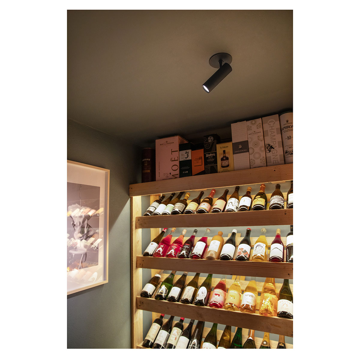 Spotlight Hide-a-lite Optic Spot Optic Spot XXS 36°