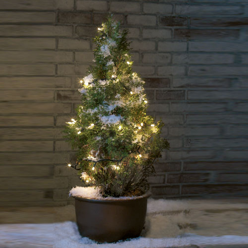 Ljusslinga Markslöjd Chrissline Micro 50L Start 5 m