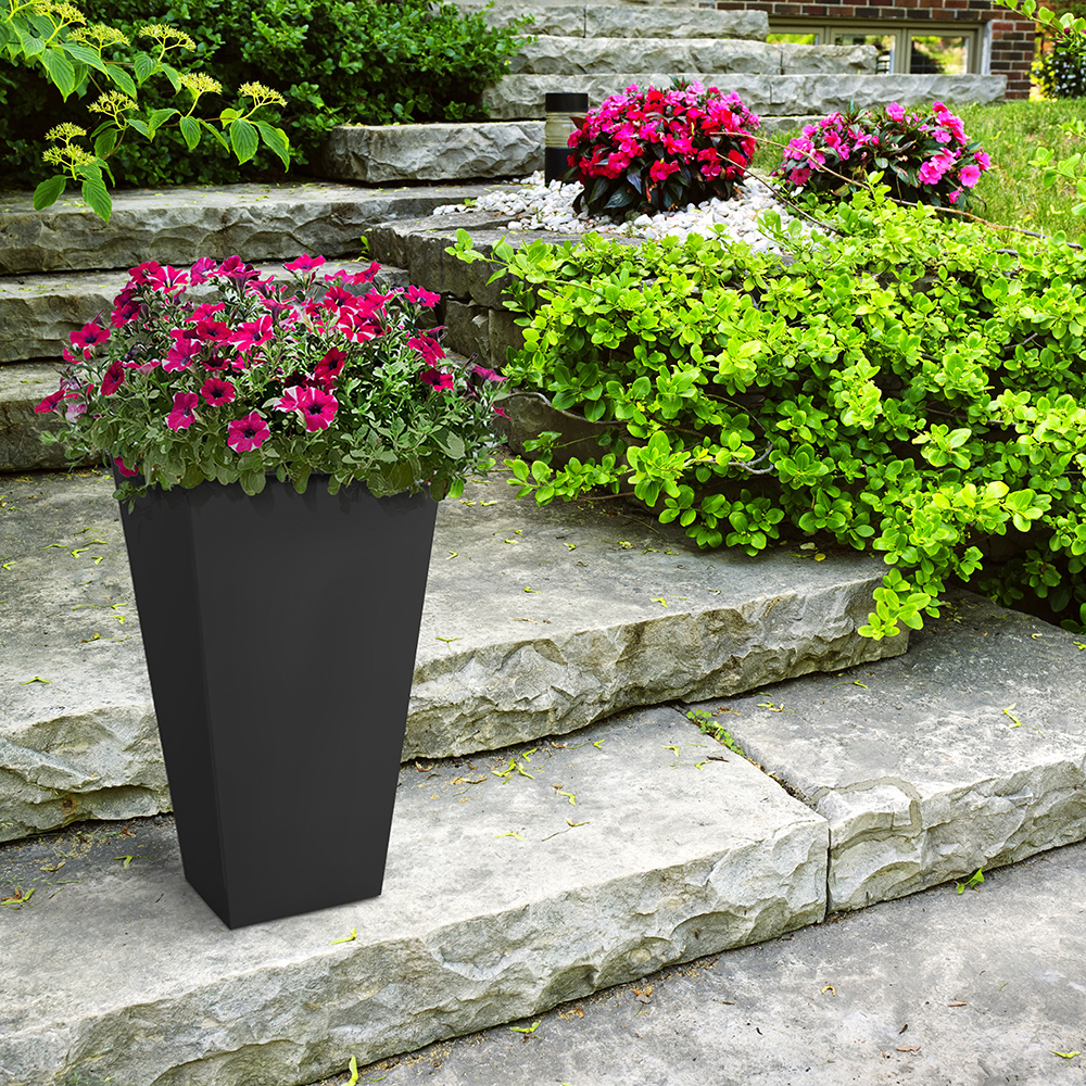 Blomkruka Recal Sonata