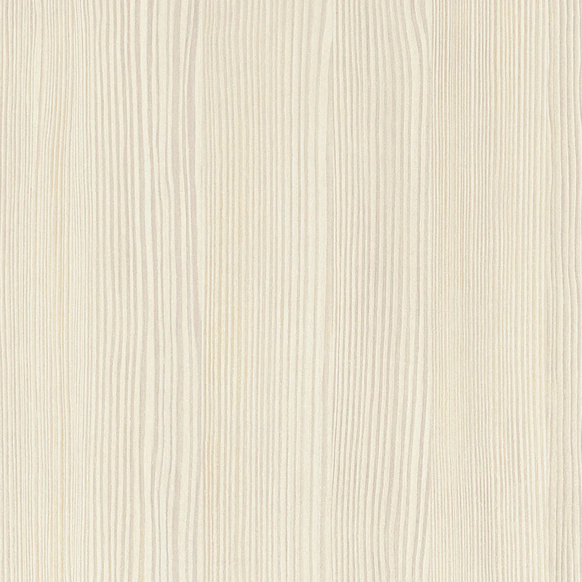 White avola