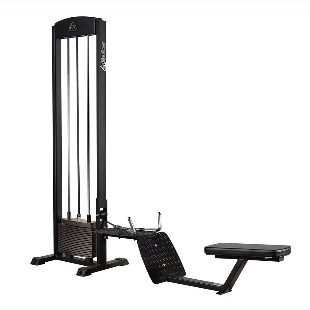 Styrkemaskin Gymleco Roddhiss Sittande