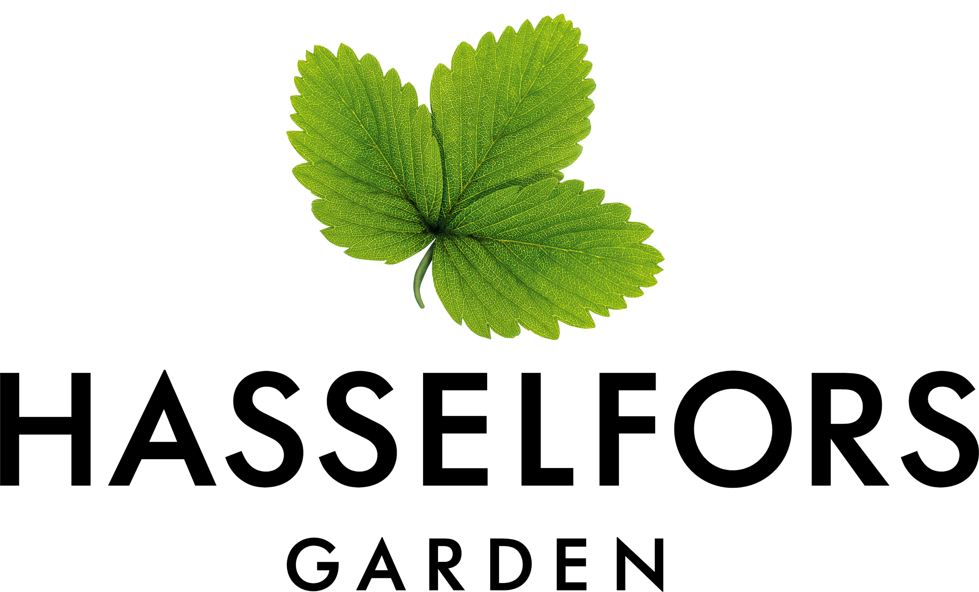 Hasselfors Garden
