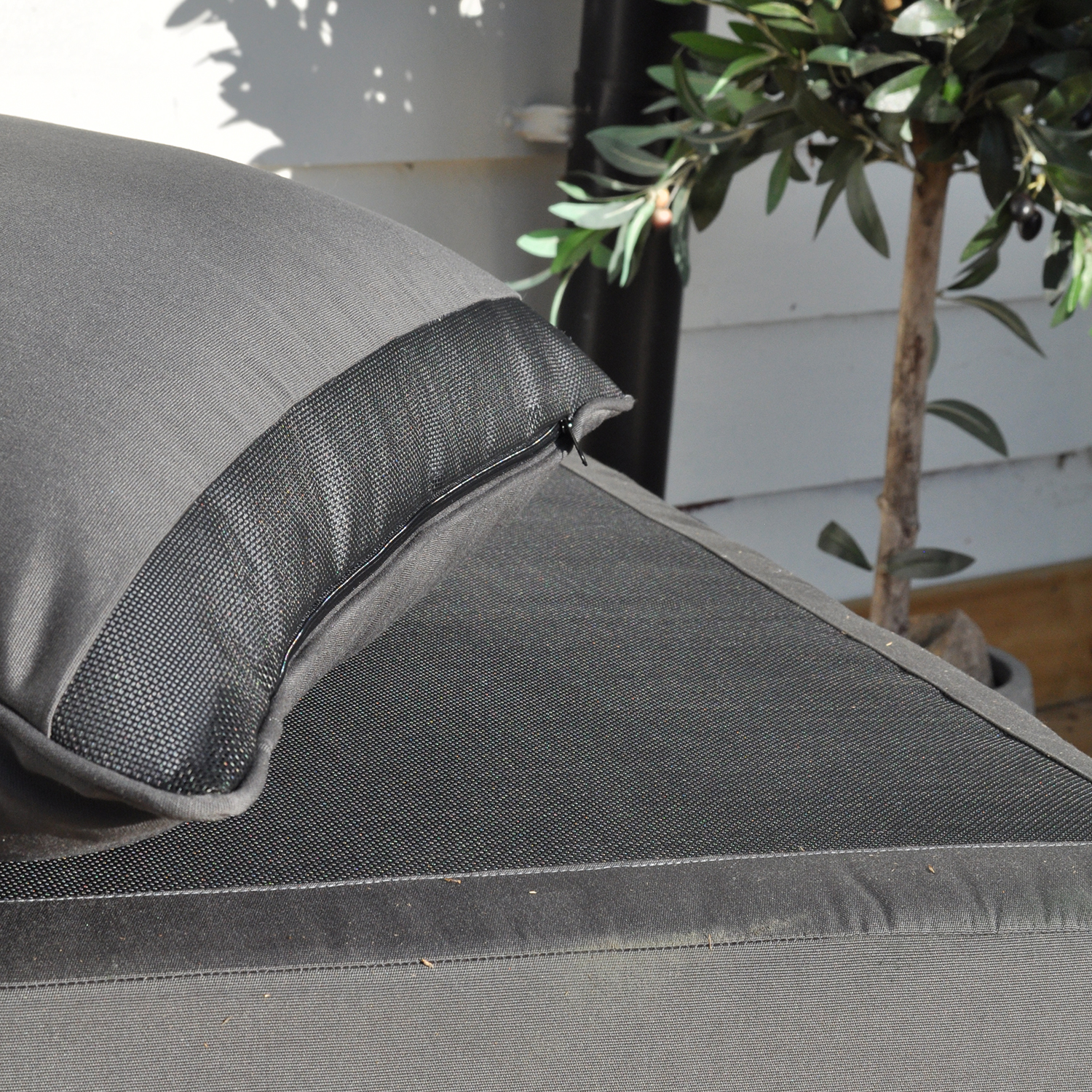 Ryggdyna Fritab IB Royal