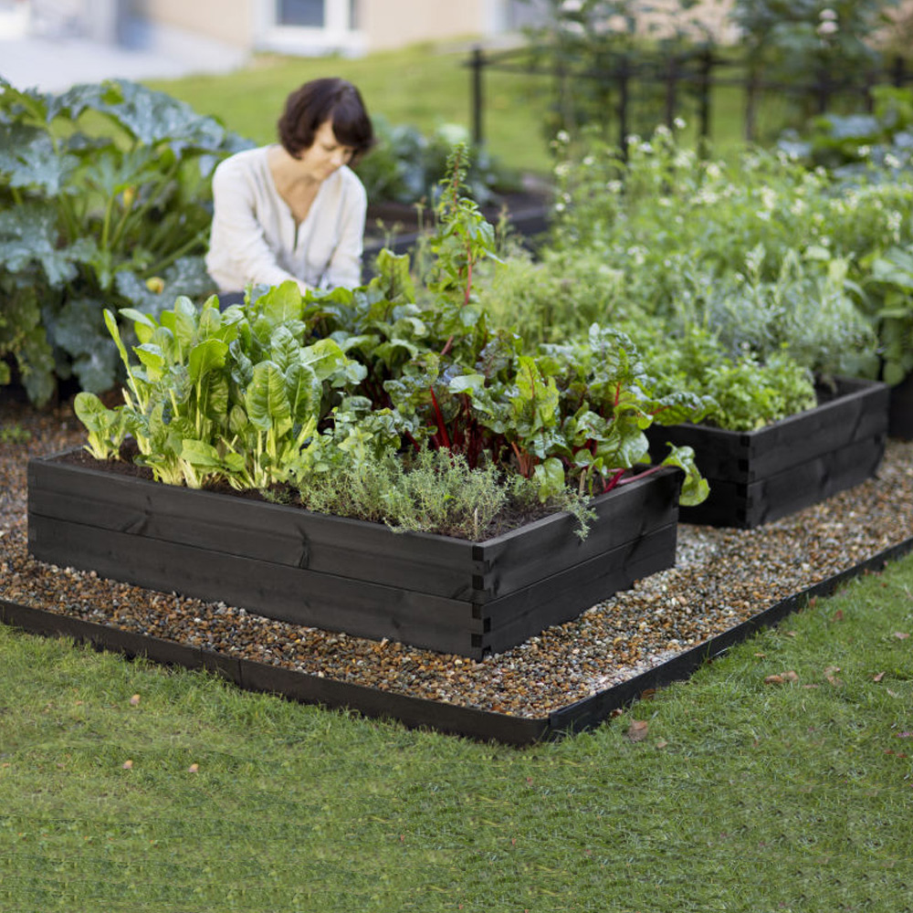 Plantering & förkultivering