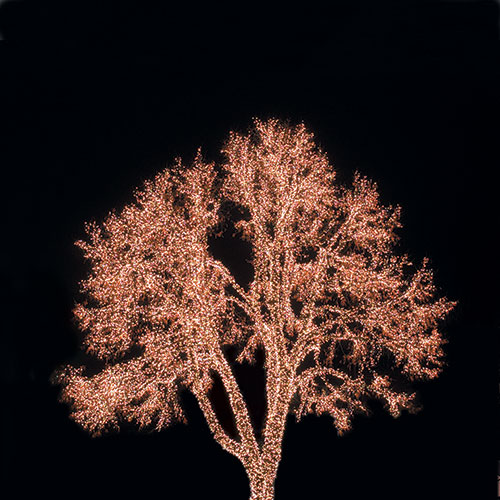 Ljusslinga Utomhus Markslöjd Chrissline Extra