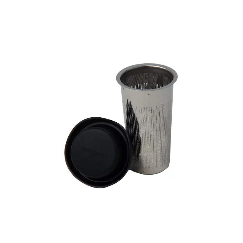 Tesil Magisso Lippa