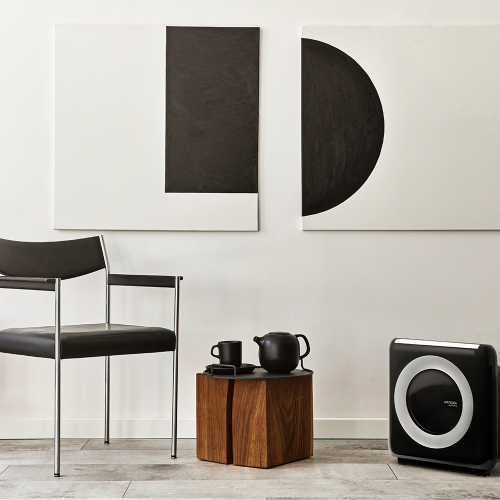 Luftrenare Coway Airmega Mighty