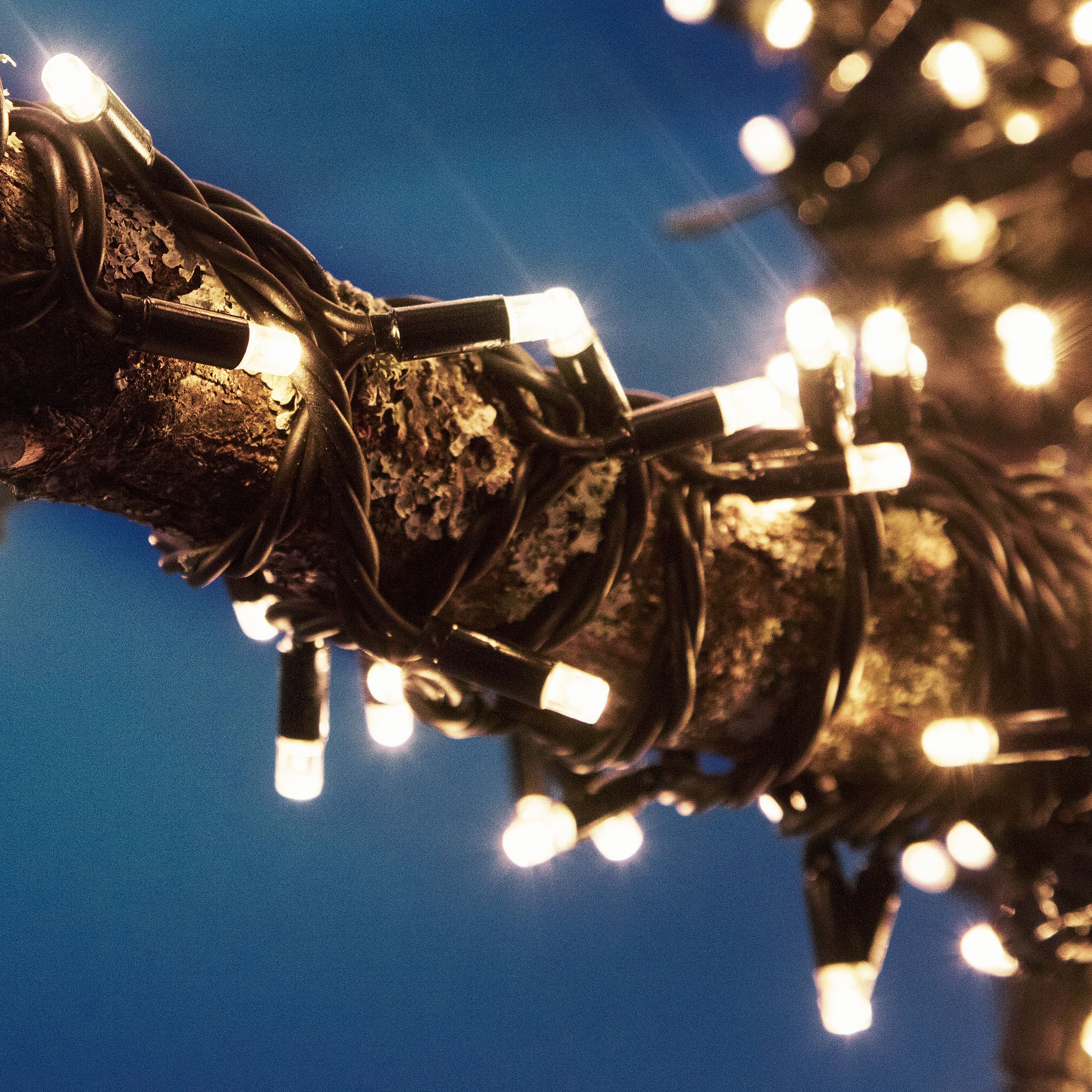 Ljusslinga Markslöjd Chrissline 5 m