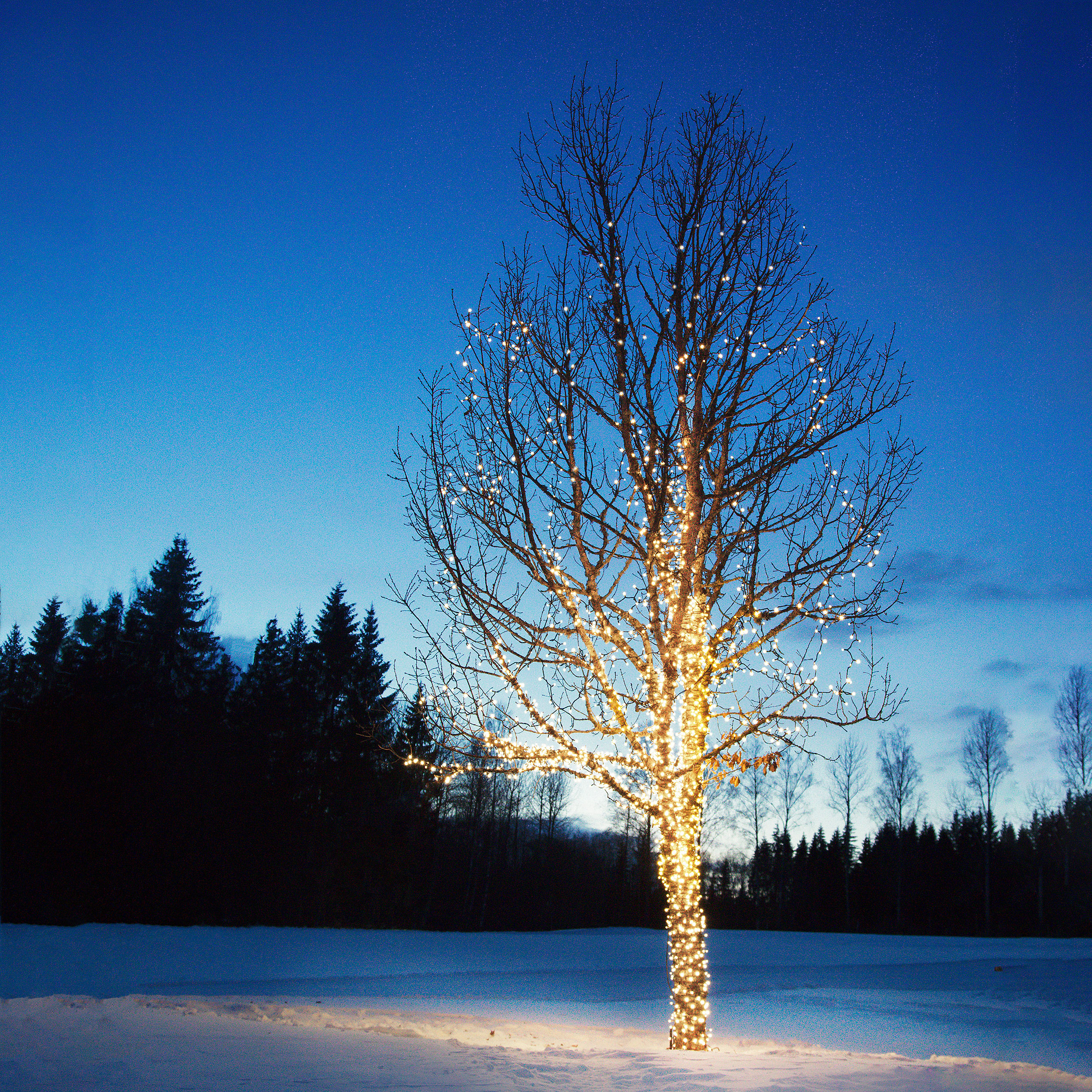 Ljusslinga Markslöjd Chrissline 5 m