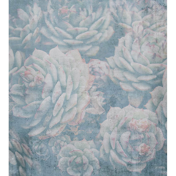 Fototapet Dimex Aloe Abstract