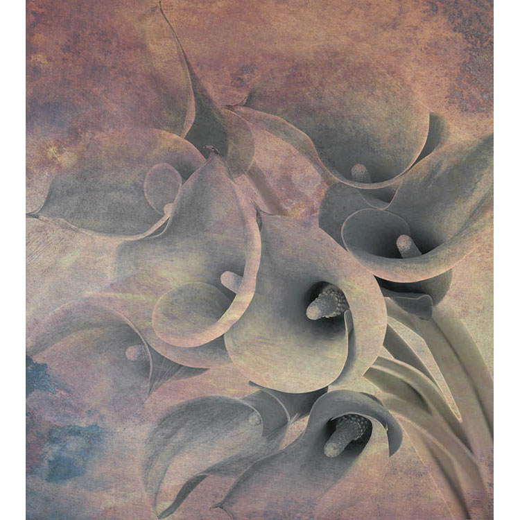 Fototapet Dimex Flower Abstract I