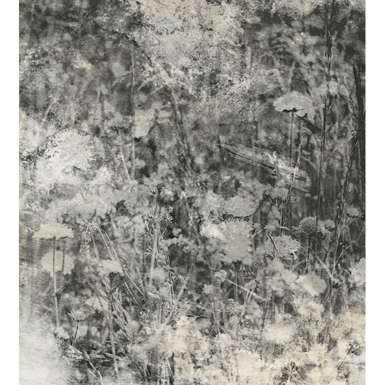 Fototapet Dimex Nature Gray Abstract