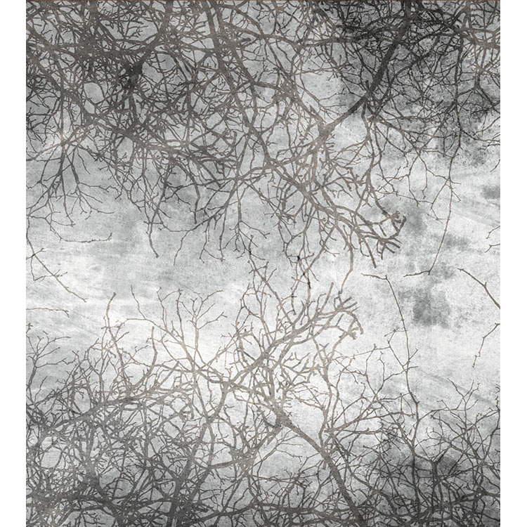 Fototapet Dimex Branch Abstract