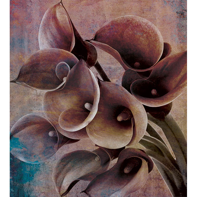 Fototapet Dimex Flower Abstract II