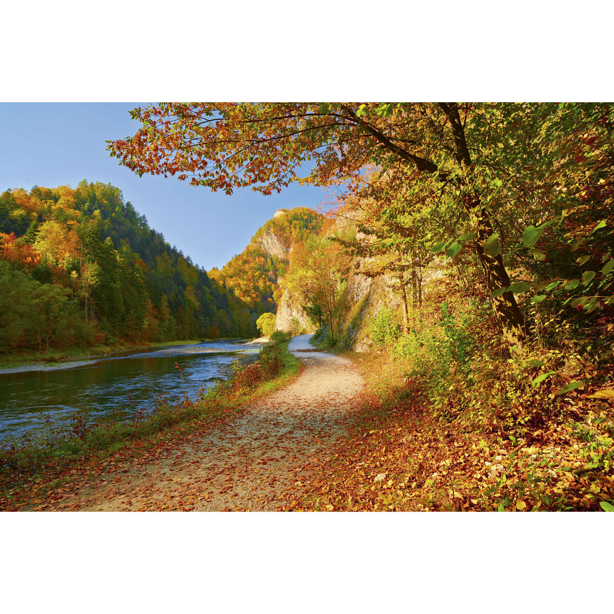 Tapet Dimex Dunajec River