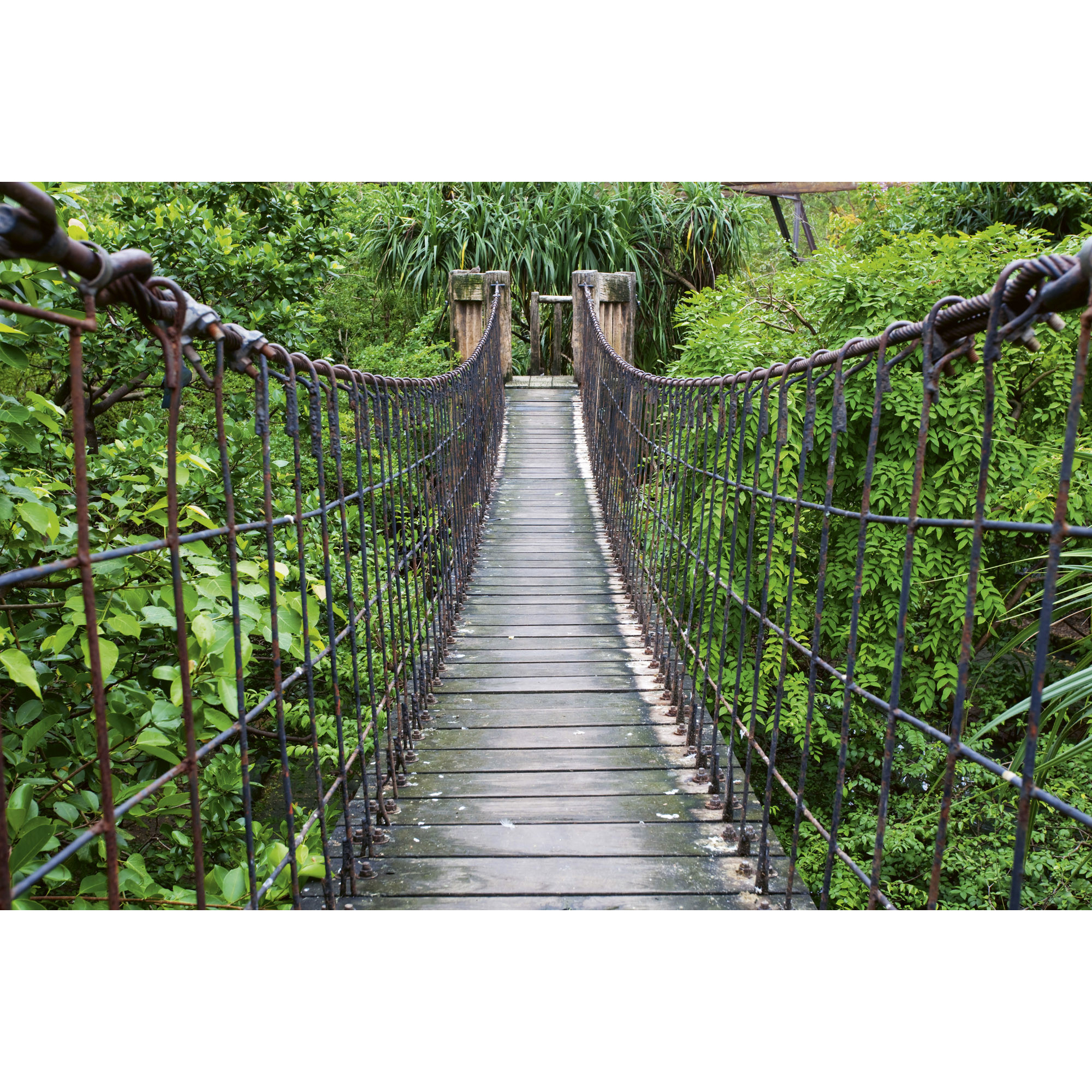 Tapet Dimex Footbridge